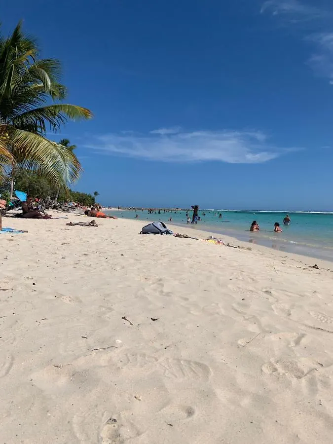 Île tropical lodges Sainte-Anne  Hébergement de vacances
