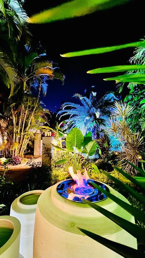 Île tropical lodges Sainte-Anne  Hébergement de vacances