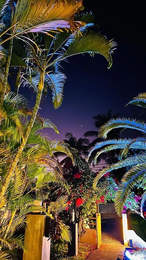 Hébergement de vacances Île tropical lodges Sainte-Anne  Guadeloupe