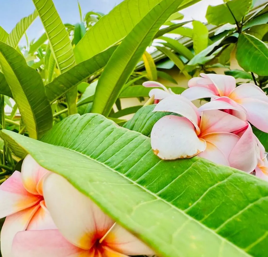 Holiday home Ile Tropical Lodges Sainte-Anne  Guadeloupe